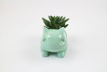 Load image into Gallery viewer, Pokemon Succulent Planter
