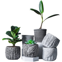 Load image into Gallery viewer, Stone Flower Pots
