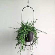 Load image into Gallery viewer, Iron Hanging Flower Pots
