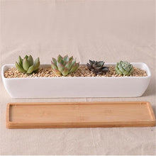 Load image into Gallery viewer, Bamboo Tray Succulent Planter
