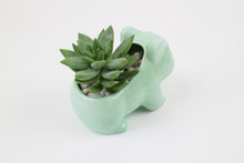 Load image into Gallery viewer, Pokemon Succulent Planter

