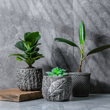 Load image into Gallery viewer, Stone Flower Pots

