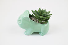 Load image into Gallery viewer, Pokemon Succulent Planter
