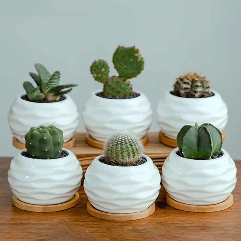 White Ceramic Mini Succulent Planter