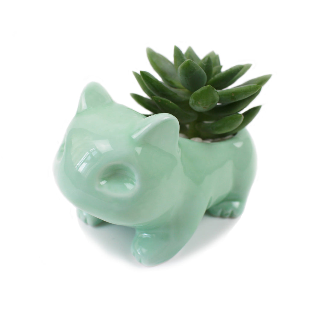 Pokemon Succulent Planter