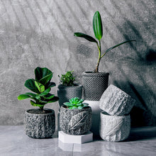 Load image into Gallery viewer, Stone Flower Pots
