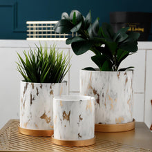 Load image into Gallery viewer, European Style Golden Marble Flower Pot
