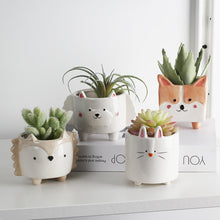 Load image into Gallery viewer, Animal Succulent Pots
