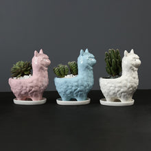 Load image into Gallery viewer, Alpaca Succulent Pot
