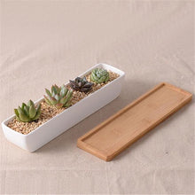 Load image into Gallery viewer, Bamboo Tray Succulent Planter
