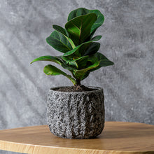 Load image into Gallery viewer, Stone Flower Pots
