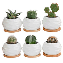 Load image into Gallery viewer, White Ceramic Mini Succulent Planter
