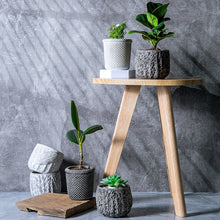Load image into Gallery viewer, Stone Flower Pots
