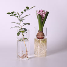 Load image into Gallery viewer, Glass Tabletop Vase
