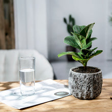 Load image into Gallery viewer, Stone Flower Pots
