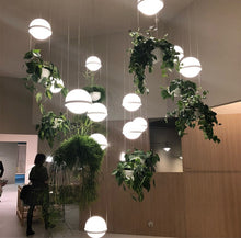 Load image into Gallery viewer, Sky Garden Hanging Lamp
