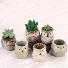 Load image into Gallery viewer, Owl Pot plants
