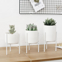 Load image into Gallery viewer, Succulent Planter Pots
